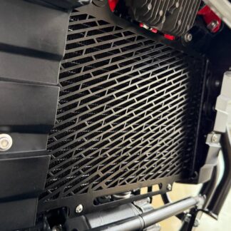 Protector Radiador Bmw G310Gs / G310R