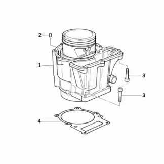 Empaque Cilindro Motor BMW G650GS 08-09